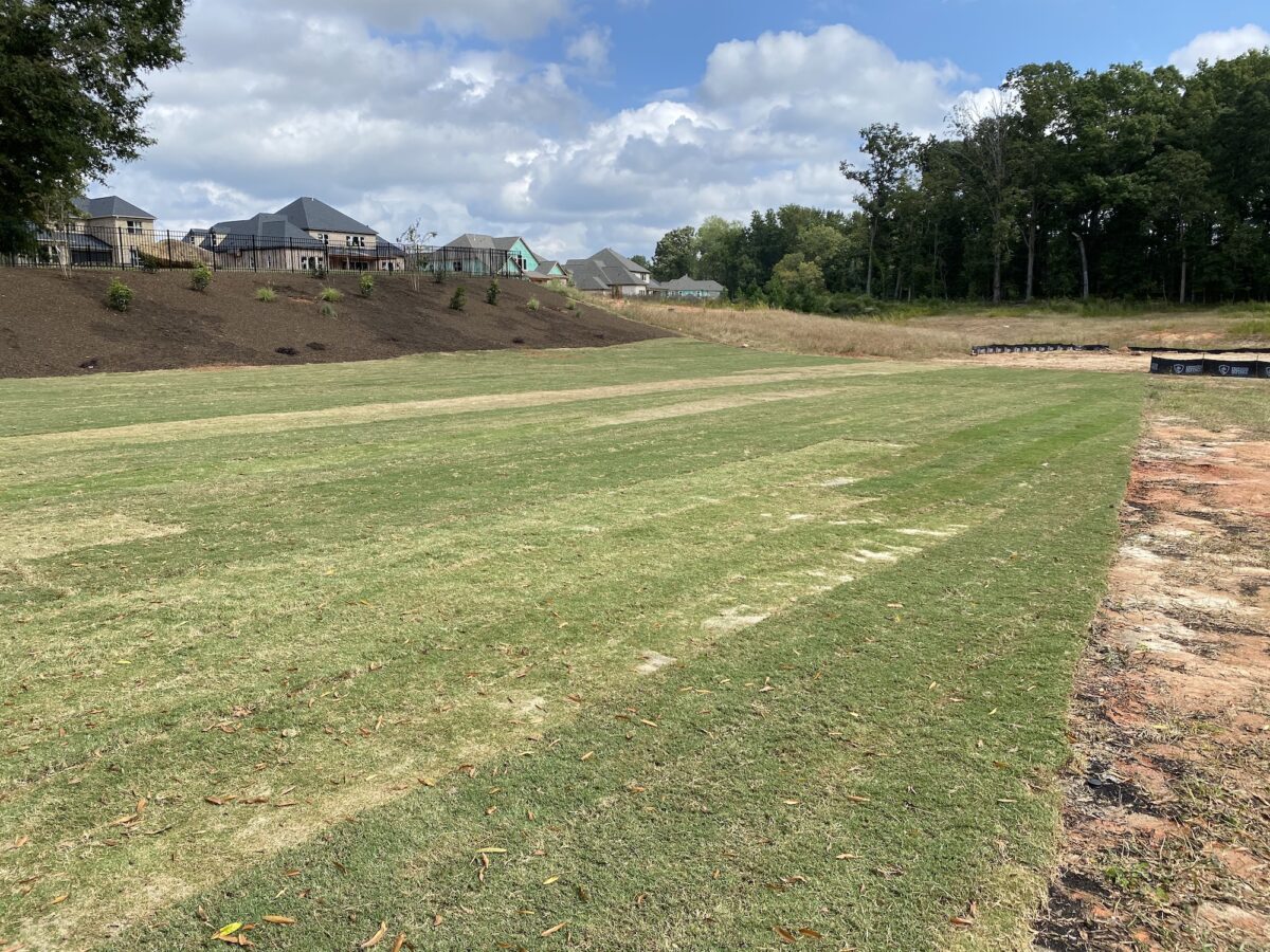 Mulch Rock Hill SC Mulch Solutions