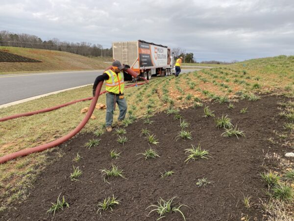 mulch matthews nc