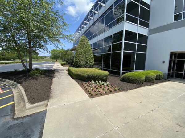 office buildilng mulch charlotte nc